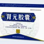贵州肾元制药有限公司
