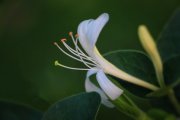 临沂市天安药业