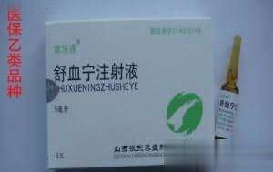 舒血宁注射液