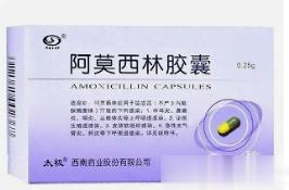 氨苄西林胶囊（安必欣）