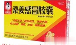桑姜感冒胶囊