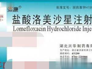 盐酸洛美沙星注射液