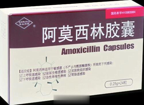 阿莫西林胶囊 24粒