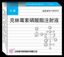 力派（克林霉素磷酸酯注射液）2ml*5支