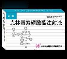 力派（克林霉素磷酸酯注射液）2ml*2支