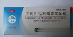 注射用克林霉素磷酸酯(百裕)