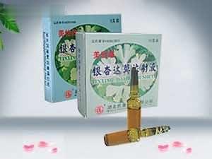 银杏达莫注射液