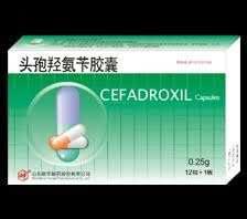 头孢羟氨苄胶囊 12粒1板