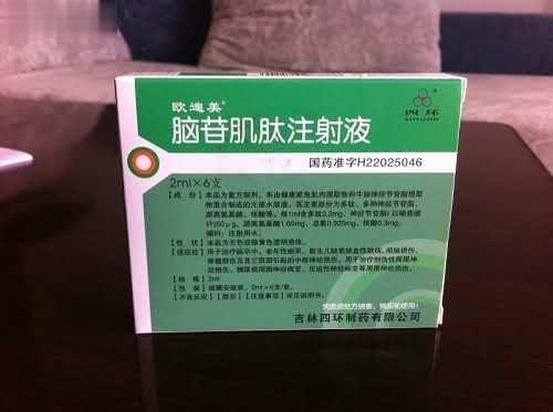 脑苷肌肽注射液