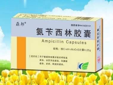 鼎邦牌氨苄西林胶囊