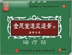 金茂堂追风透骨贴-腰部专用