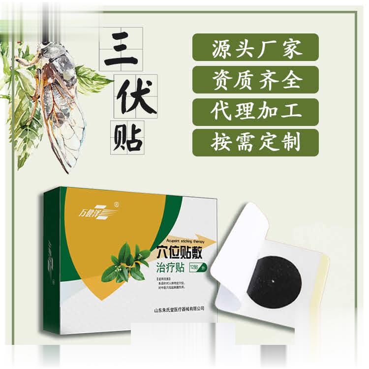 穴位贴敷治疗贴/三伏贴