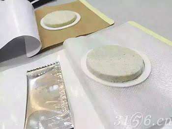 沙蒿子透皮贴