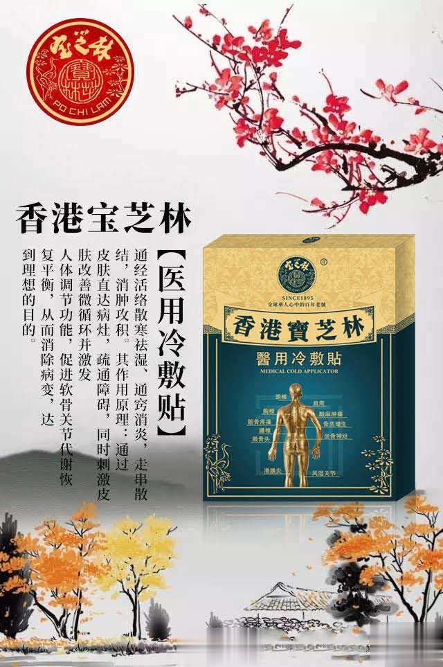 香港宝芝林黑膏药医用冷敷贴