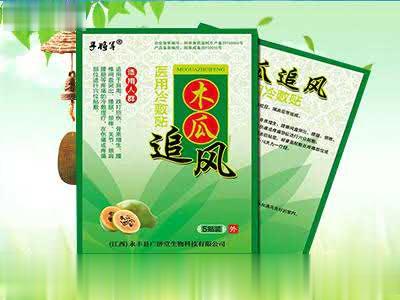 木瓜追风医用冷敷贴