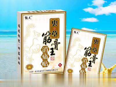 虫草筋骨王消痛贴-皮肤外用