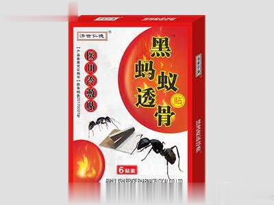 黑蚂蚁透骨贴