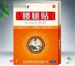 医用冷敷贴（防水型）LXT--F腰腿贴