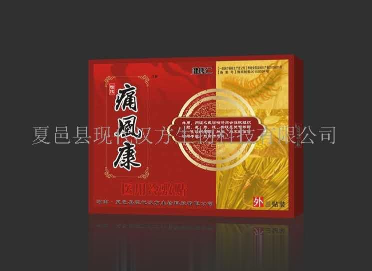 痛风康-医用冷敷贴