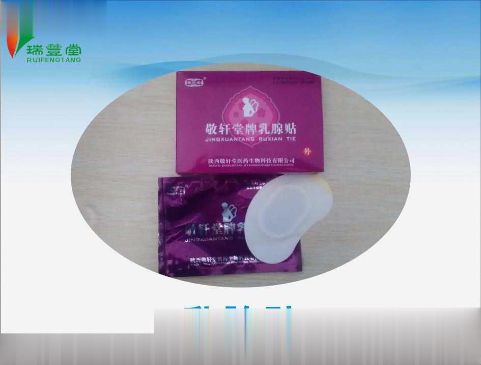 敬轩堂牌乳腺贴