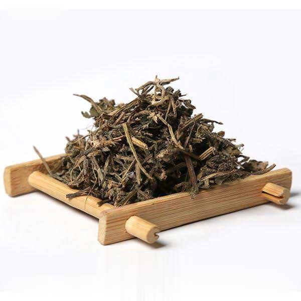 筋骨草