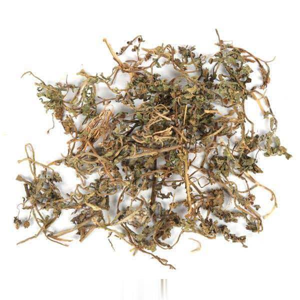 鹅不食草