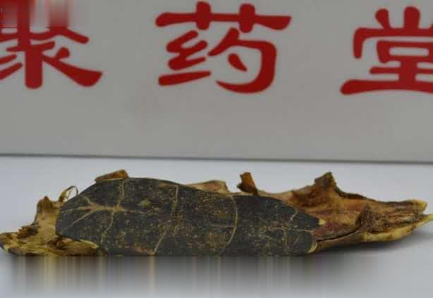 安国市聚药堂供应中药饮片龟甲