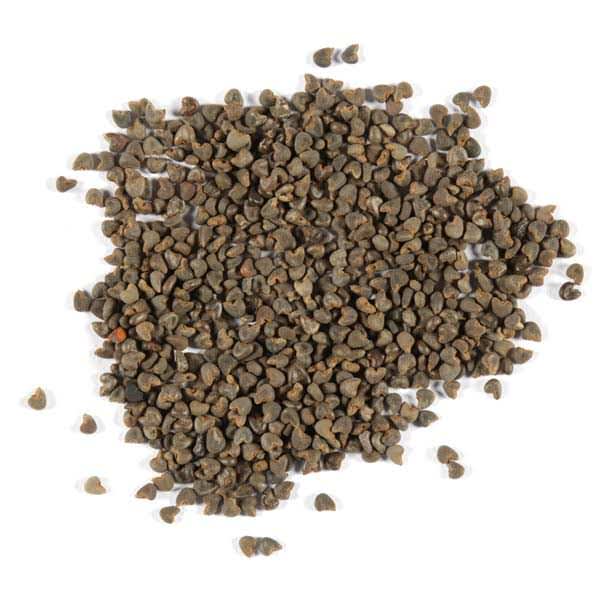 茼麻子