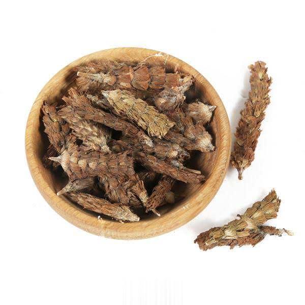夏枯草