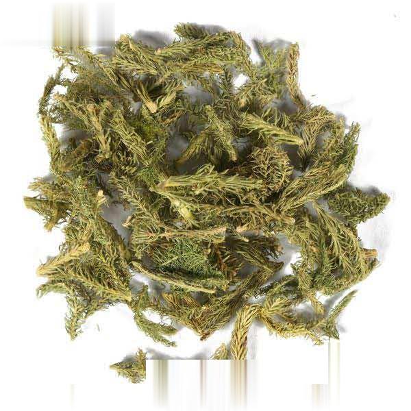 伸筋草