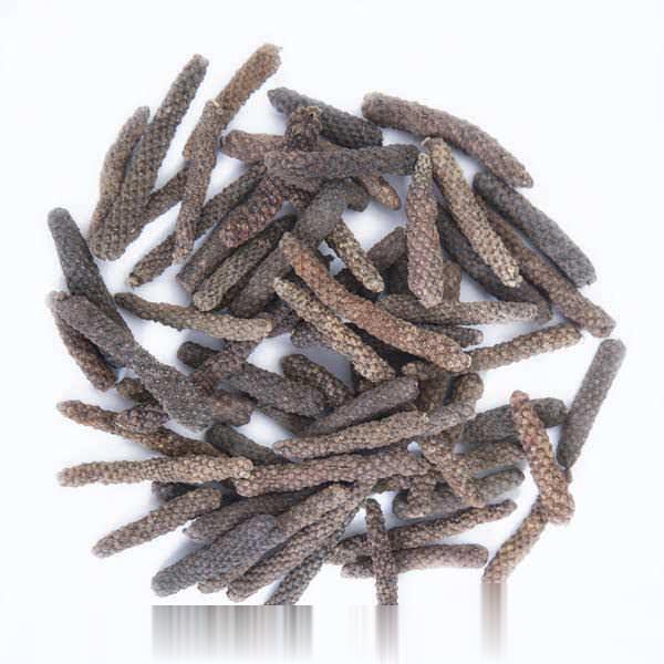 荜茇