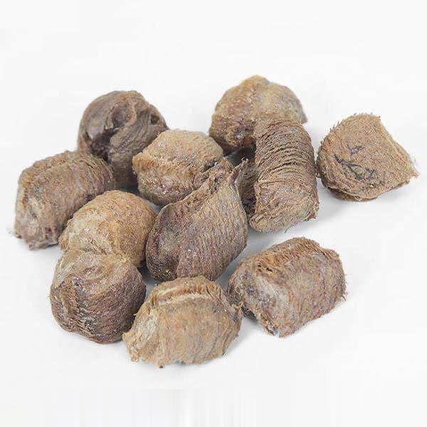 盐桑螵蛸