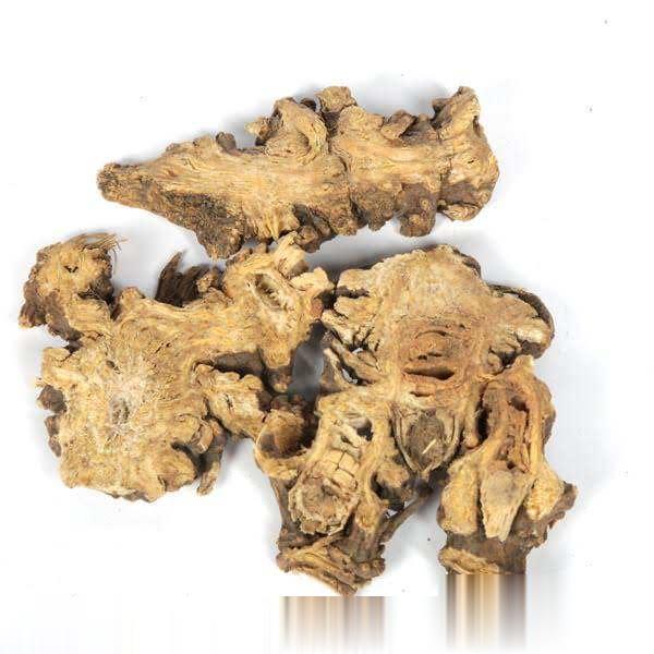 中药饮片藁本中药饮片公司 中药饮片厂