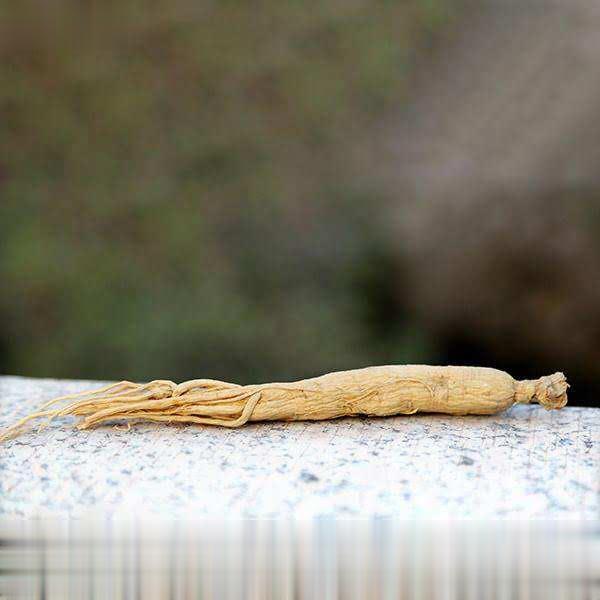 中药饮片人参（一等）中药研发 中药饮片炮制规范