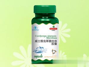 威士雅虫草菌丝体胶囊