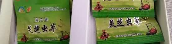 梁山瑞芝堂灵芝虫草茶袋泡茶