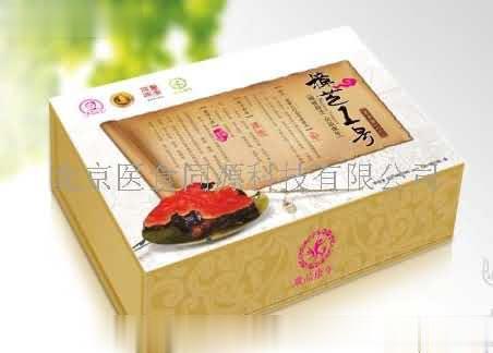 樟芝2号