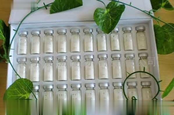 美容养颜胶原蛋白