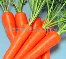 胡萝卜