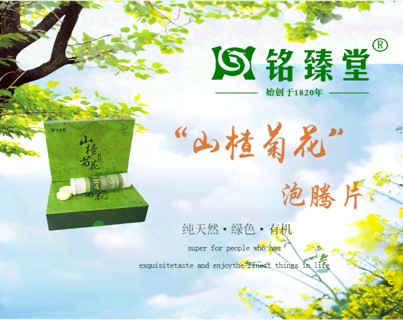 铭臻堂山楂菊花泡腾片