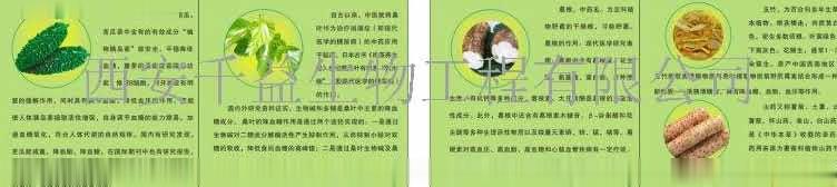 苦桑片