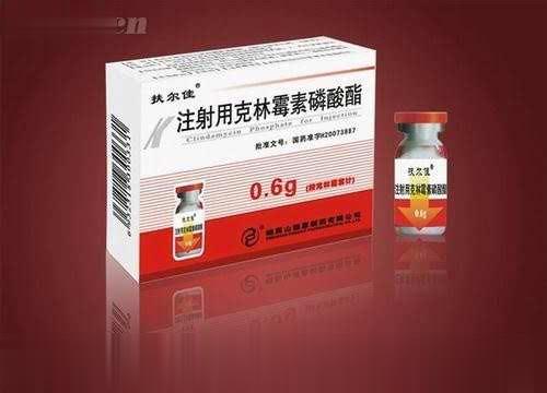 扶尔佳--注射用克林霉素磷酸酯