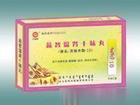 益智温肾十味丸