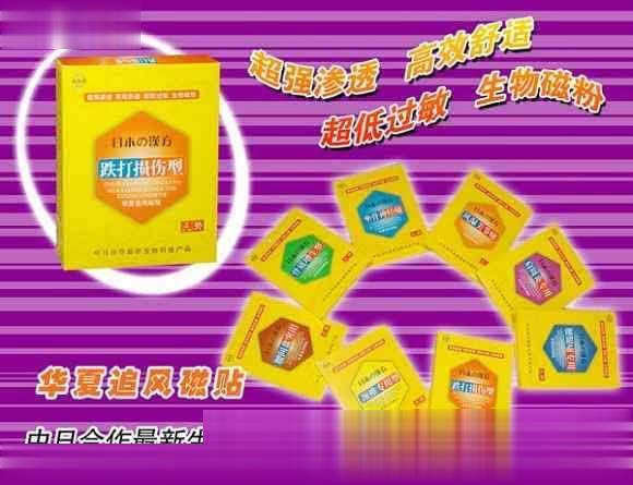 天山奇日本汉方巴布贴