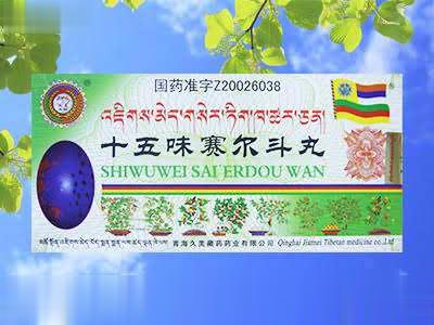 十五味赛尔斗丸