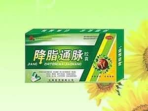 降脂通脉胶囊