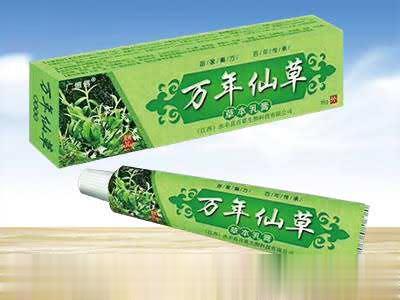万年仙草