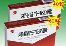 降脂宁胶囊