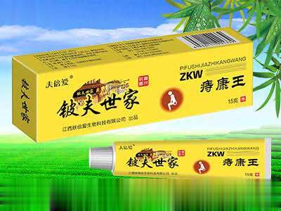 铍夫世家痔康王