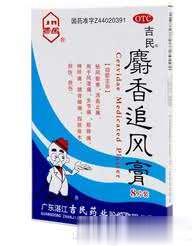 吉民麝香追风膏 10片装